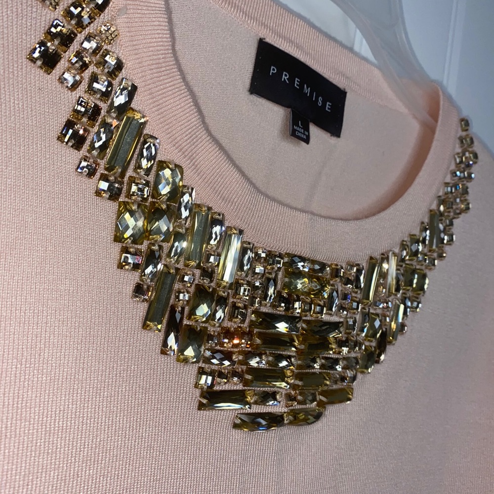 Gorgeous Pink and Gold Never worn top!!